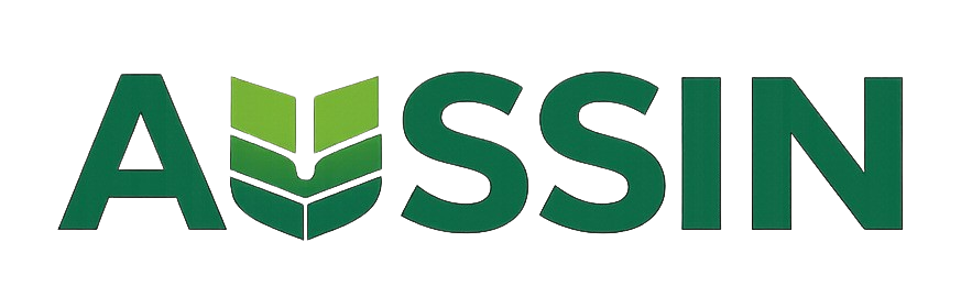 Aussin Logo